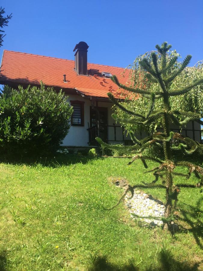 Haus Bergblick Villa Luftkurort Luckendorf Luaran gambar